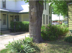 318434_0971250.jpg