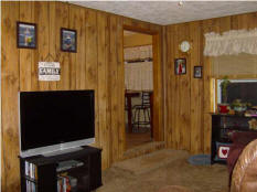 329228_1803750.jpg