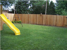 323585_452500.jpg