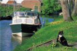 animals,boats,cats,leisure,mammals,motorboats,nature,Photographs,riverbanks,rivers,sports,transportation