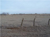 332094_2817500.jpg